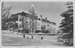 Hotell Siljansborg  ~ Rättvik, Sweden ~ 1940's postcard