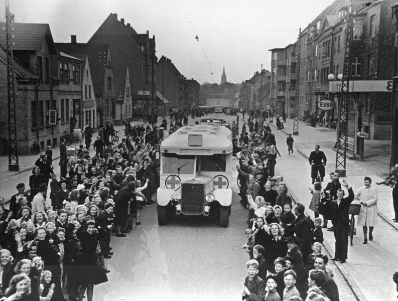 Bernadotte White Buses in Denmark